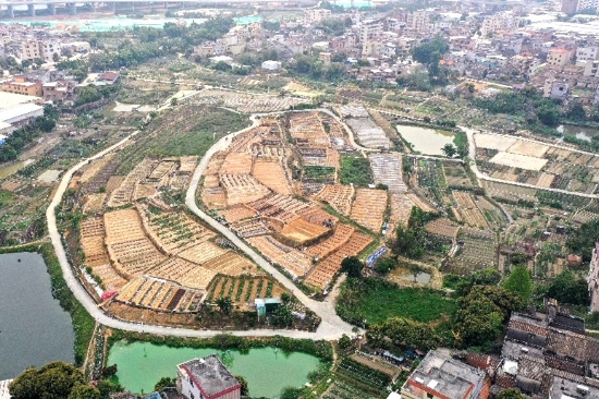 已處理174496464438704.jpg