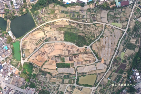 已處理175282085792403.jpg