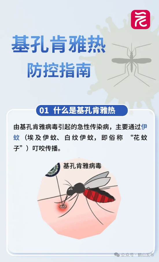 微信圖片_20250724161737.jpg